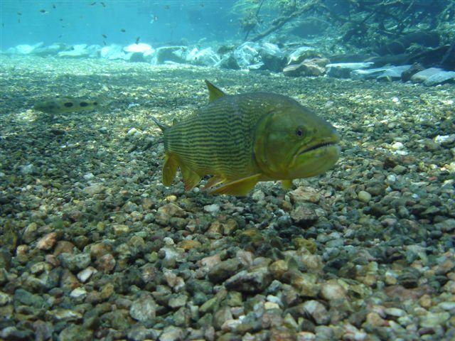 FOTOS 009.jpg